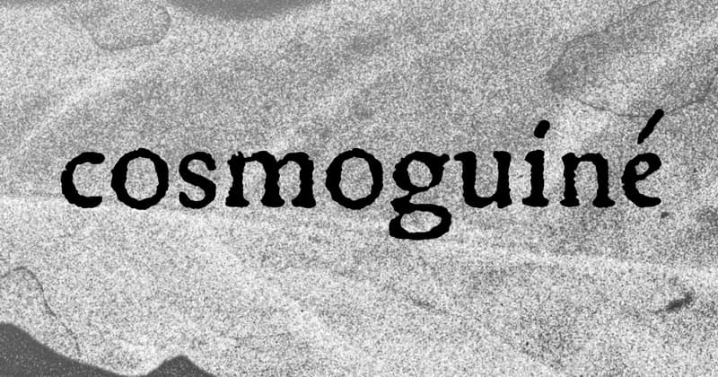 MAC Niterói apresenta 'Cosmoguiné', primeira individual de Ian Cheibub