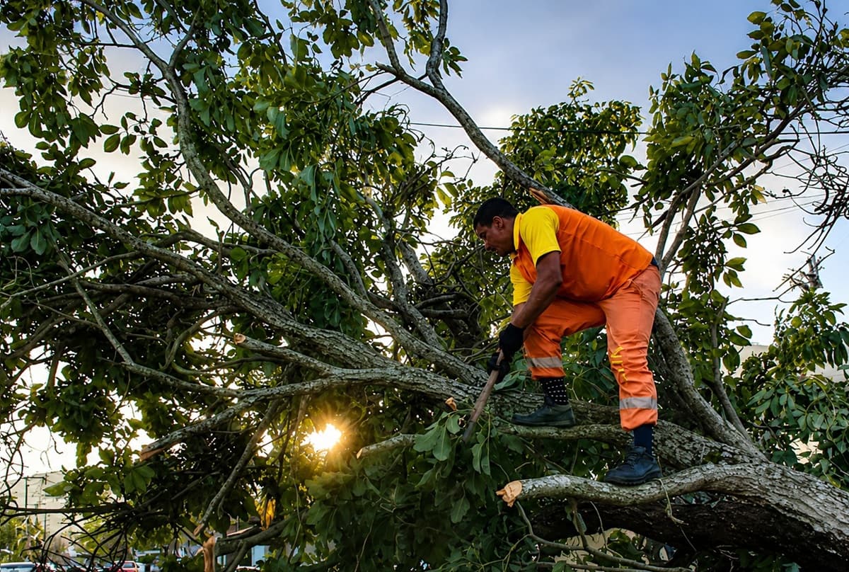 Clin mobiliza 600 colaboradores para desobstrução de vias e limpeza após forte rajada de vento em Niterói