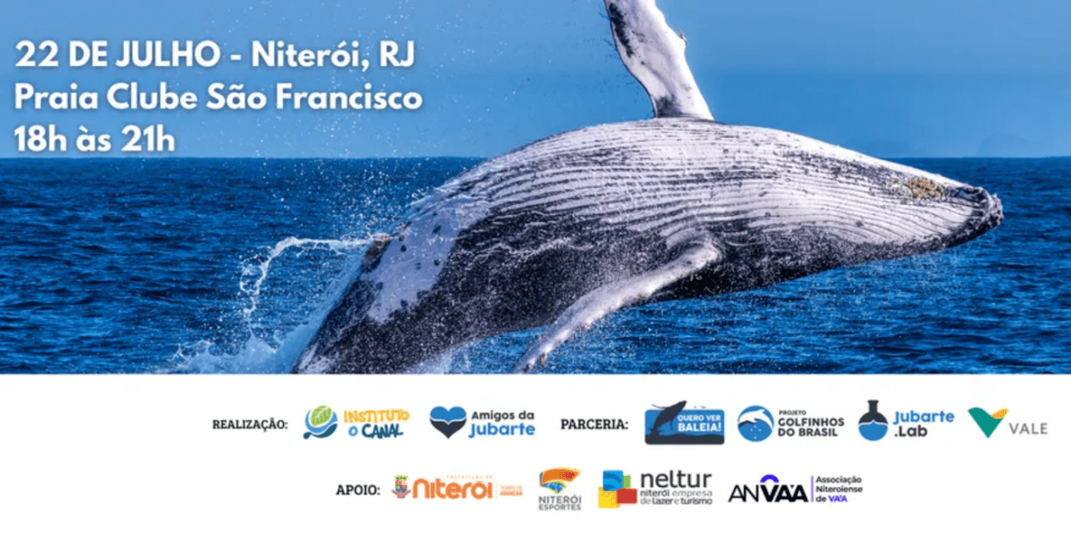 Niterói promove capacitação gratuita sobre interação responsável com baleias e golfinhos na Baía de Guanabara